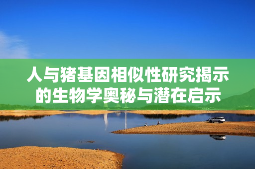 人与猪基因相似性研究揭示的生物学奥秘与潜在启示