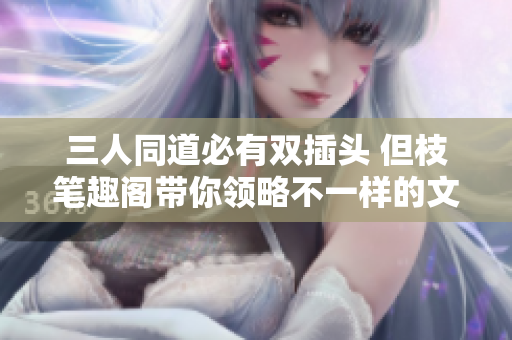 三人同道必有双插头 但枝笔趣阁带你领略不一样的文学魅力