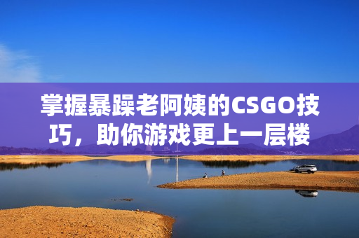 掌握暴躁老阿姨的CSGO技巧，助你游戏更上一层楼