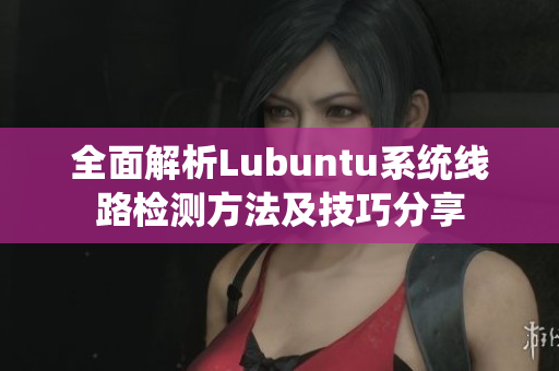 全面解析Lubuntu系统线路检测方法及技巧分享