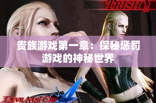贵族游戏第一章：探秘惩罚游戏的神秘世界