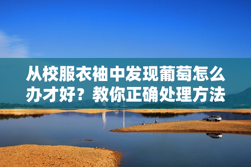 从校服衣袖中发现葡萄怎么办才好？教你正确处理方法