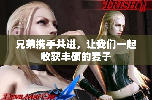 兄弟携手共进，让我们一起收获丰硕的麦子