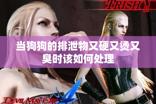 当狗狗的排泄物又硬又烫又臭时该如何处理