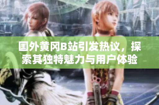 国外黄冈B站引发热议，探索其独特魅力与用户体验