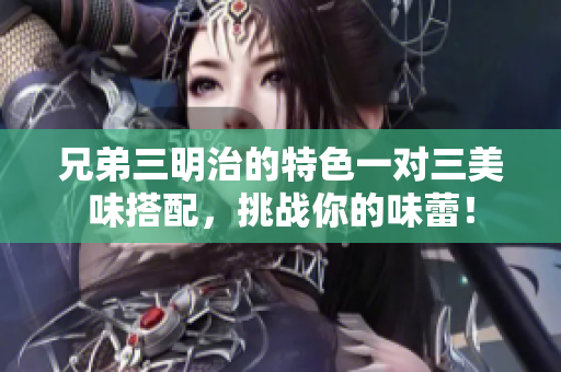 兄弟三明治的特色一对三美味搭配，挑战你的味蕾！