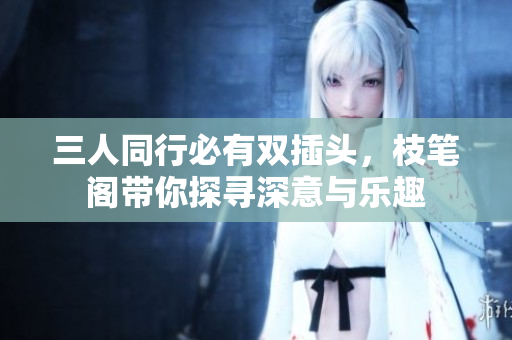 三人同行必有双插头，枝笔阁带你探寻深意与乐趣
