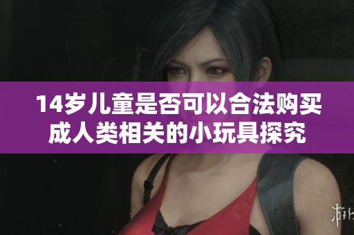 14岁儿童是否可以合法购买成人类相关的小玩具探究