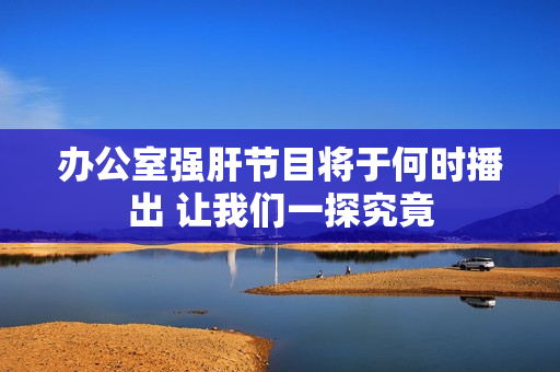 办公室强肝节目将于何时播出 让我们一探究竟