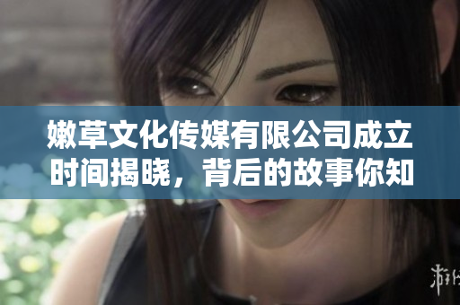嫩草文化传媒有限公司成立时间揭晓，背后的故事你知道吗