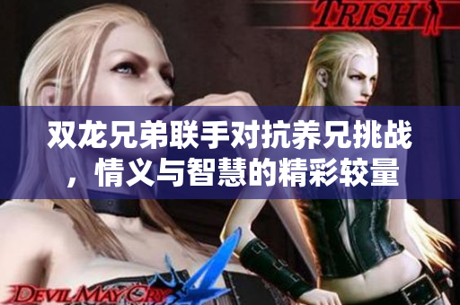 双龙兄弟联手对抗养兄挑战，情义与智慧的精彩较量
