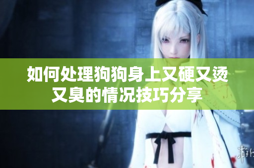 如何处理狗狗身上又硬又烫又臭的情况技巧分享