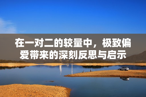 在一对二的较量中，极致偏爱带来的深刻反思与启示