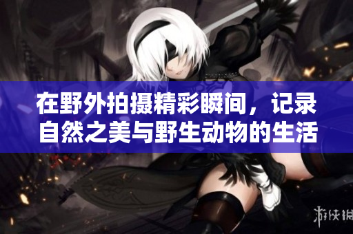 在野外拍摄精彩瞬间，记录自然之美与野生动物的生活