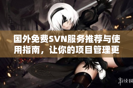 国外免费SVN服务推荐与使用指南，让你的项目管理更便捷