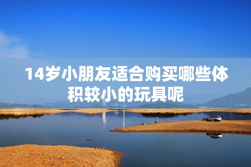 14岁小朋友适合购买哪些体积较小的玩具呢
