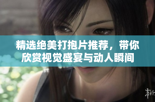 精选绝美打抱片推荐，带你欣赏视觉盛宴与动人瞬间