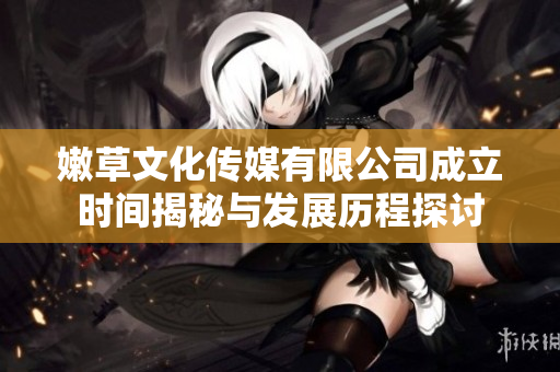 嫩草文化传媒有限公司成立时间揭秘与发展历程探讨