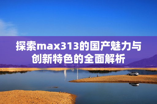 探索max313的国产魅力与创新特色的全面解析