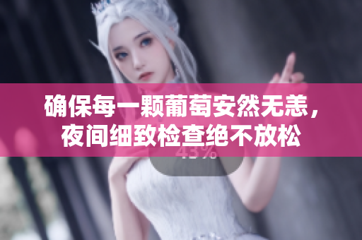 确保每一颗葡萄安然无恙，夜间细致检查绝不放松