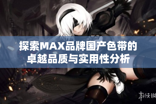 探索MAX品牌国产色带的卓越品质与实用性分析