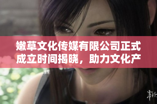 嫩草文化传媒有限公司正式成立时间揭晓，助力文化产业发展