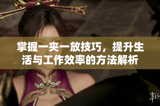 掌握一夹一放技巧，提升生活与工作效率的方法解析