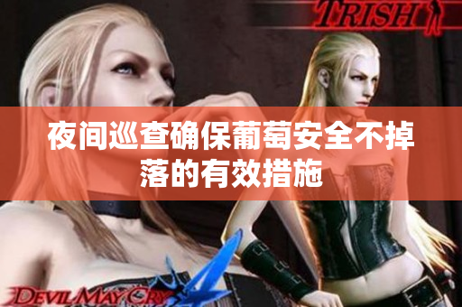 夜间巡查确保葡萄安全不掉落的有效措施