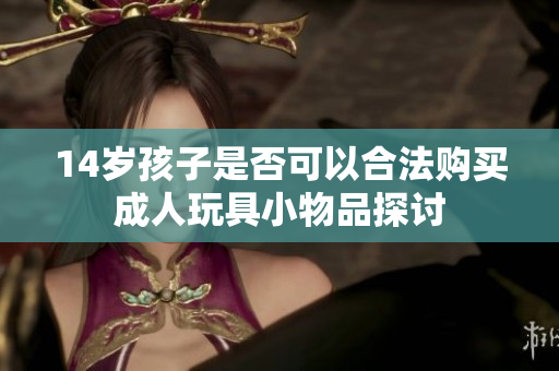 14岁孩子是否可以合法购买成人玩具小物品探讨