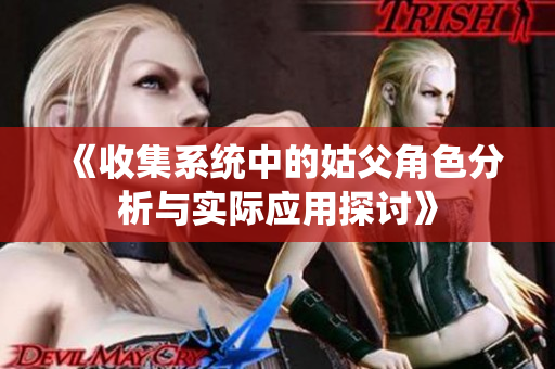 《收集系统中的姑父角色分析与实际应用探讨》