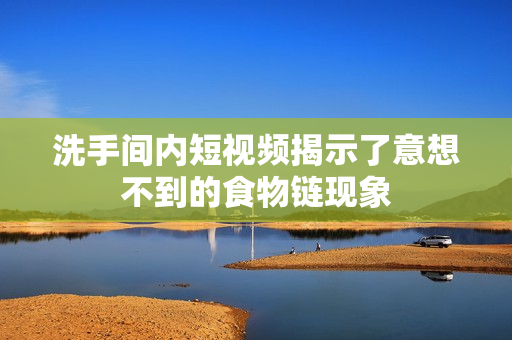 洗手间内短视频揭示了意想不到的食物链现象
