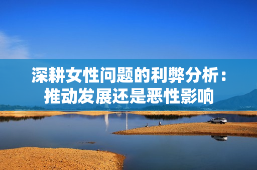 深耕女性问题的利弊分析：推动发展还是恶性影响