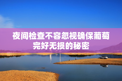 夜间检查不容忽视确保葡萄完好无损的秘密
