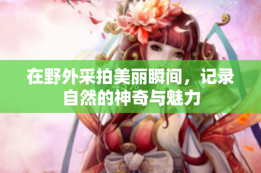 在野外采拍美丽瞬间，记录自然的神奇与魅力