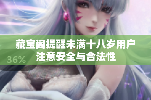 藏宝阁提醒未满十八岁用户注意安全与合法性