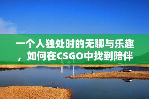 一个人独处时的无聊与乐趣，如何在CSGO中找到陪伴