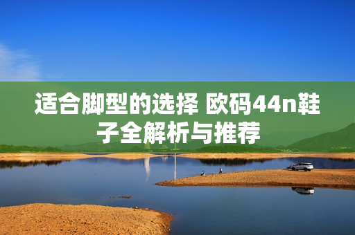 适合脚型的选择 欧码44n鞋子全解析与推荐
